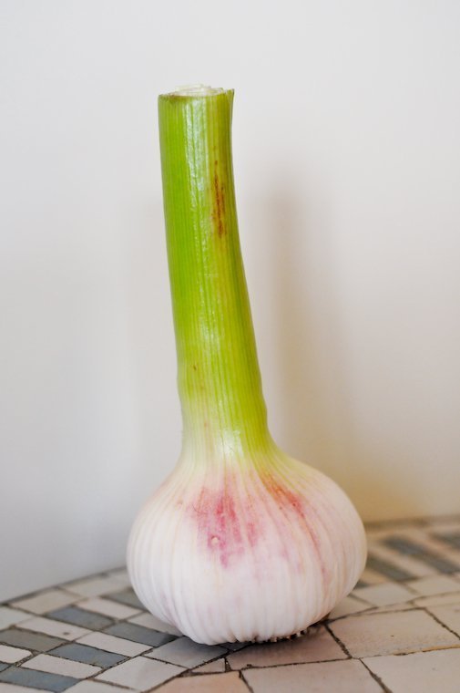 Garlic 1/3 lb