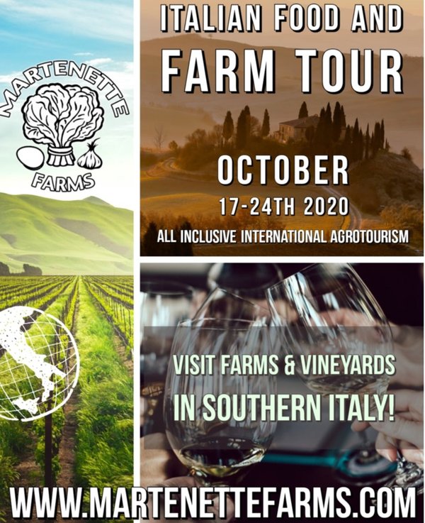 Fattoria al tavalo Italian Farm Tour Oct 17-24th (Deposit only)